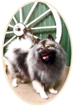 01-bundooraoval.jpg
