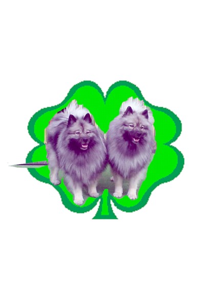 keashachloefourleafclover-01.jpg